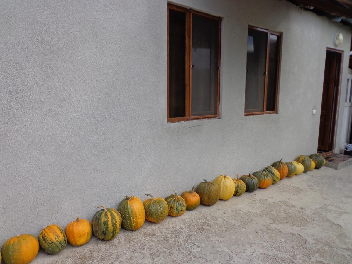 Anush'S B&B Tatev Exterior foto